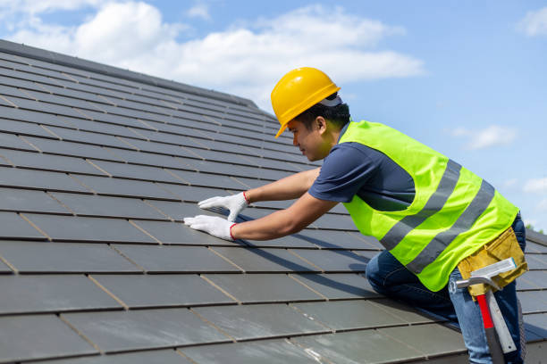 Best Flat Roof Repair Services  in Ladd, IL
