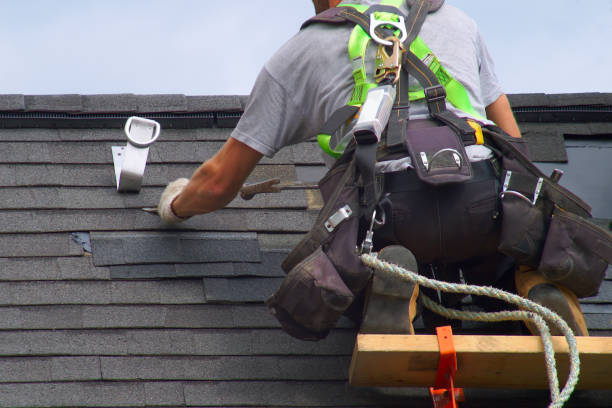 Best Residential Roofing Contractor  in Ladd, IL