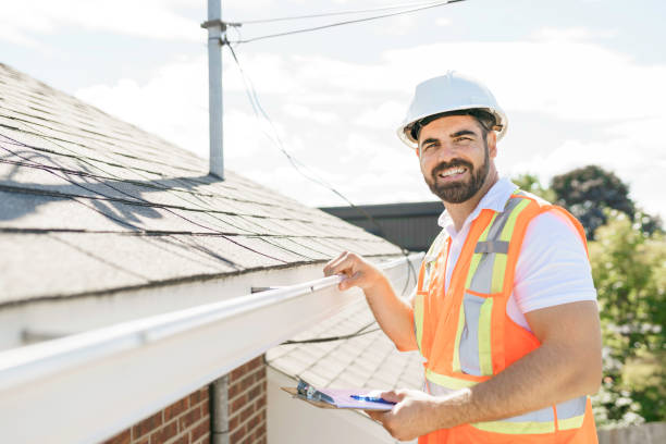 Best Roof Gutter Cleaning  in Ladd, IL