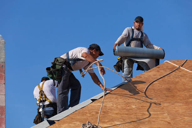 Best Local Roofing Companies  in Ladd, IL