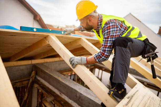 Best Roofing Contractors for Homes  in Ladd, IL