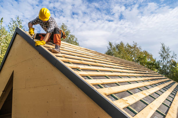 Best Emergency Roof Repair  in Ladd, IL